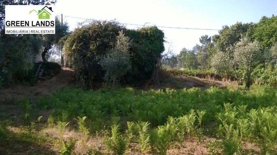 Moradia T1 para Venda em Arganil Foto 10