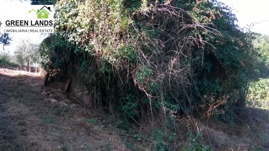 Moradia T1 para Venda em Arganil Foto 6