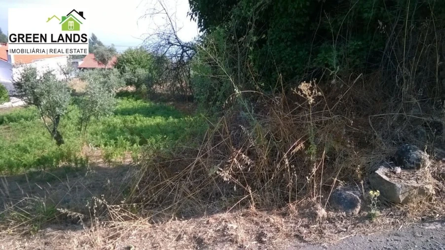 Moradia T1 para Venda em Arganil Foto 3