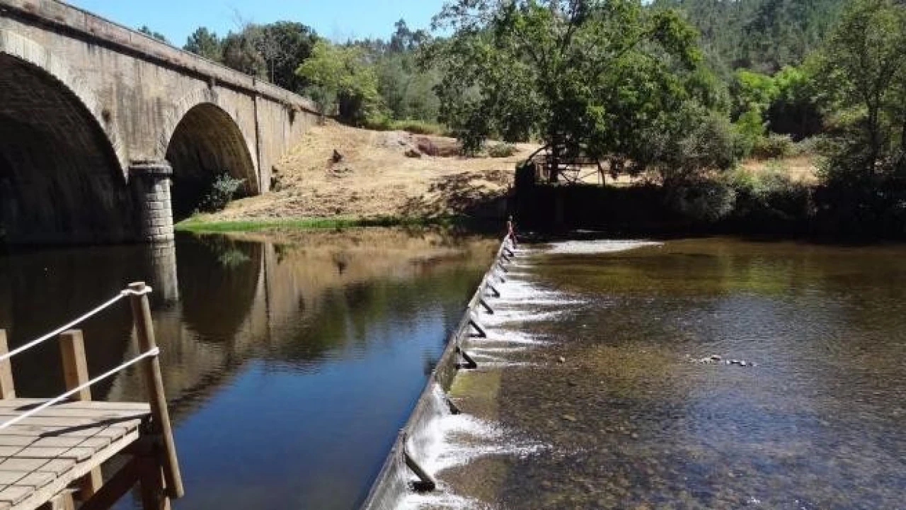 Terreno para Venda em Côja e Barril de Alva Foto 5