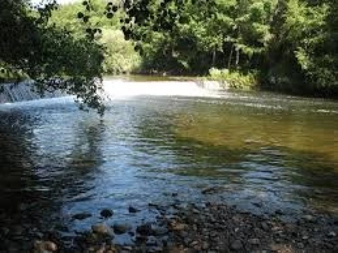 Terreno para Venda em Côja e Barril de Alva Foto 6