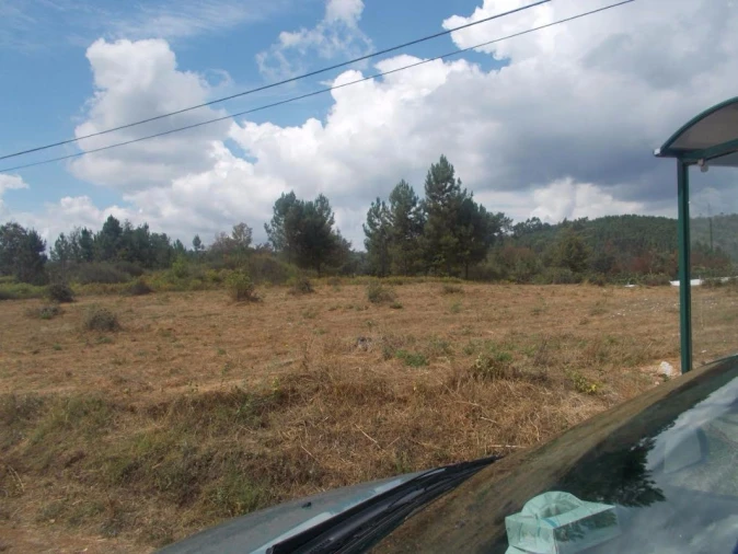 Terreno para Venda em Côja e Barril de Alva Foto 4