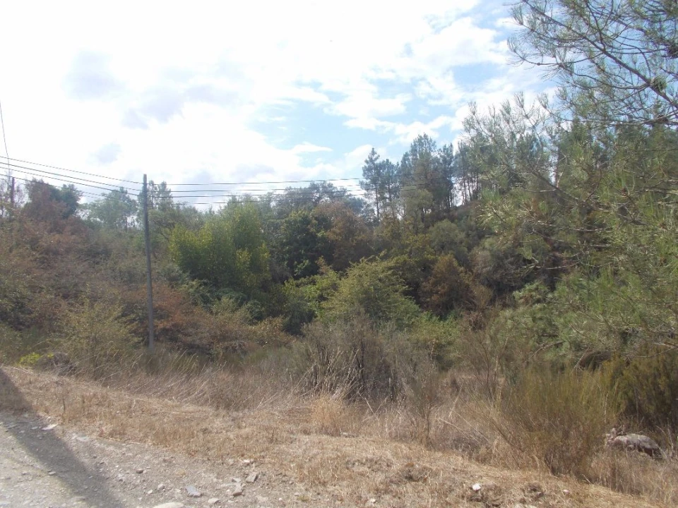 Terreno para Venda em Côja e Barril de Alva Foto 3