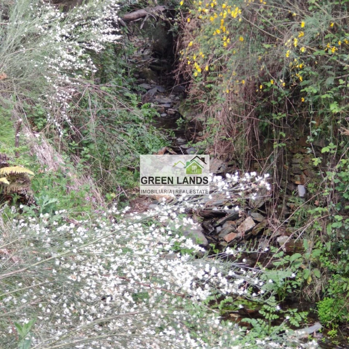 Quinta T1 para Venda em Côja e Barril de Alva Foto 11