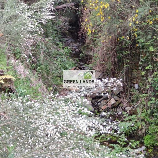 Quinta T1 para Venda em Côja e Barril de Alva Foto 11