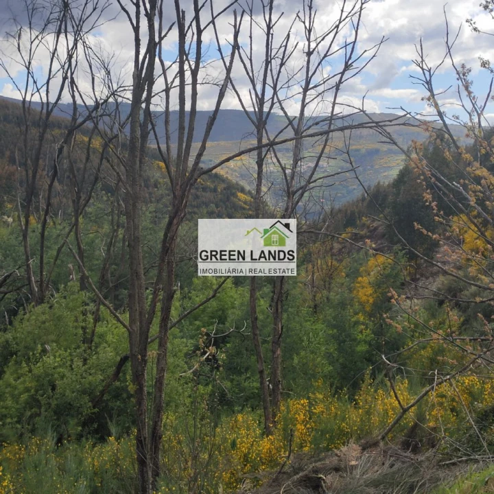 Quinta T1 para Venda em Côja e Barril de Alva Foto 9