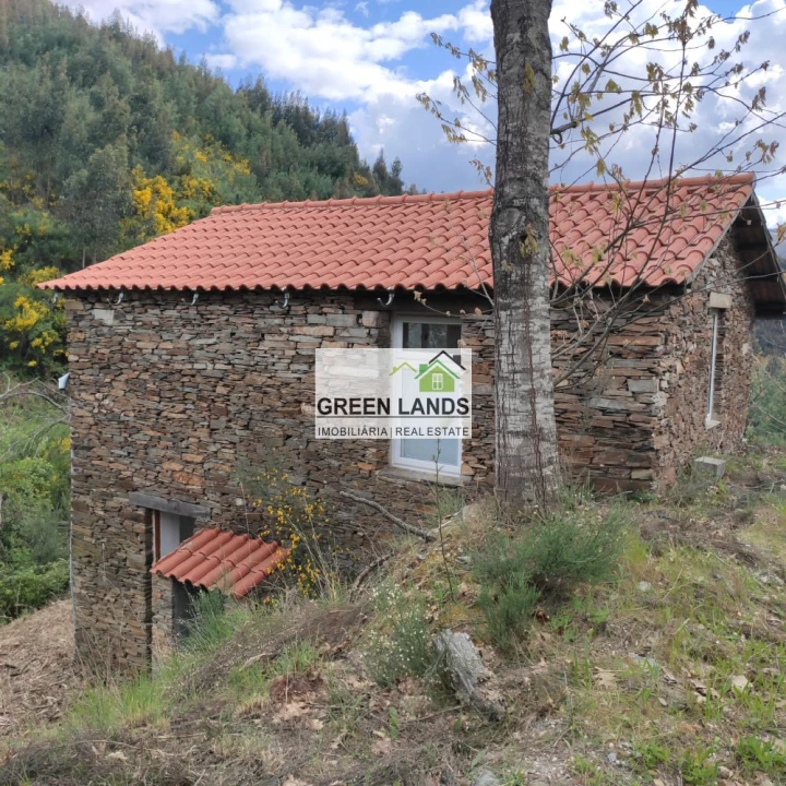 Quinta T1 para Venda em Côja e Barril de Alva Foto 3