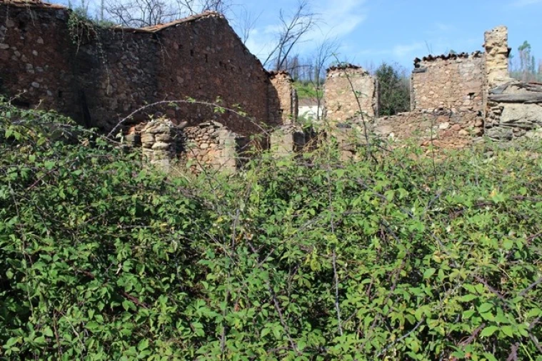 Moradia T0 para Venda em Arganil Foto 8