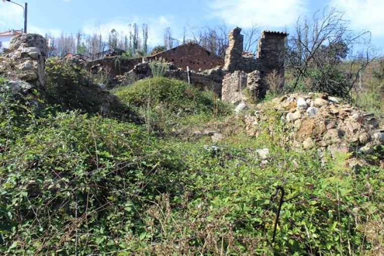 Moradia T0 para Venda em Arganil Foto 13