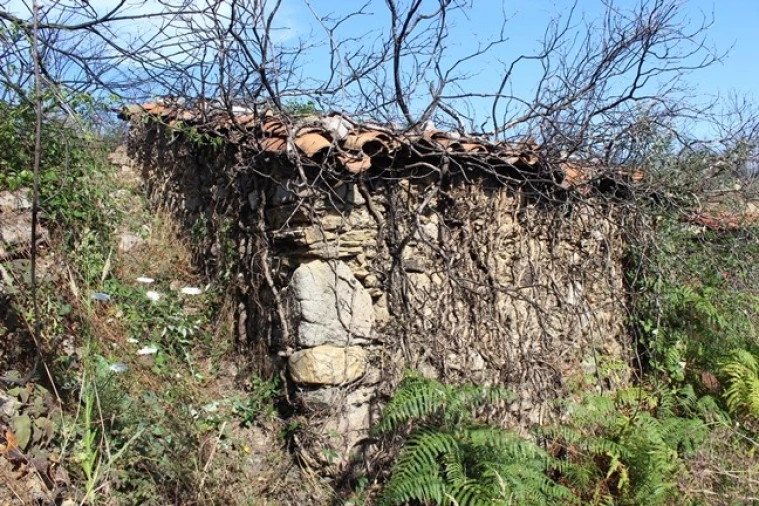 Moradia T0 para Venda em Arganil Foto 3