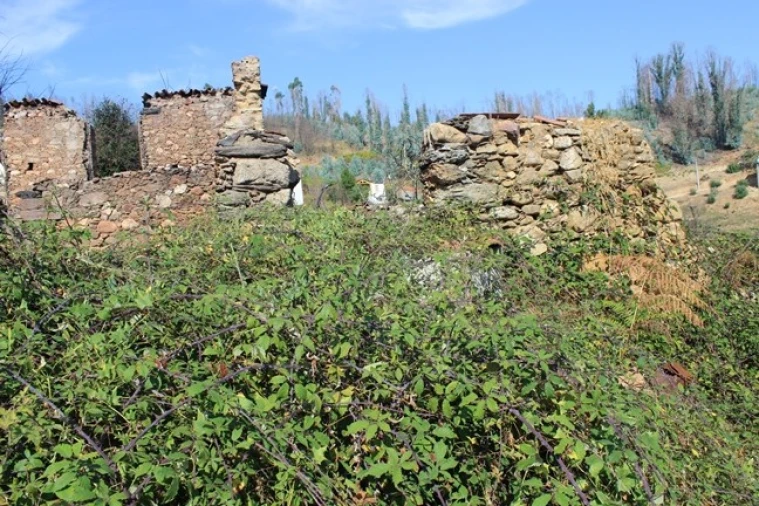 Moradia T0 para Venda em Arganil Foto 10