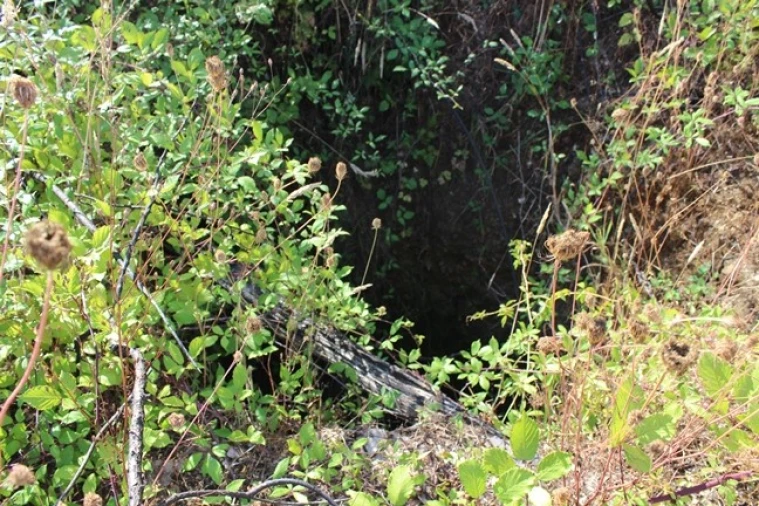 Moradia T0 para Venda em Arganil Foto 15