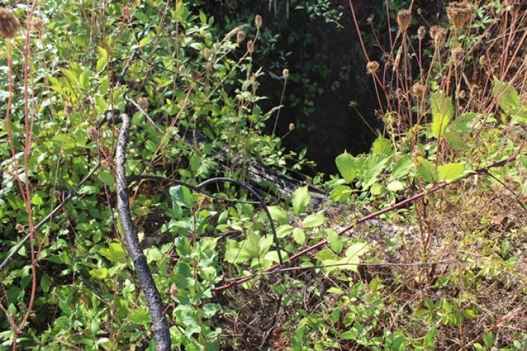 Moradia T0 para Venda em Arganil Foto 14