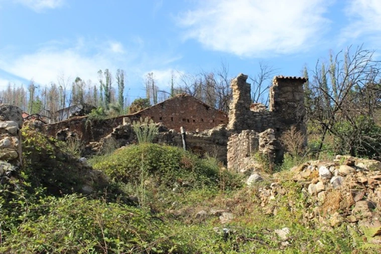 Moradia T0 para Venda em Arganil Foto 17