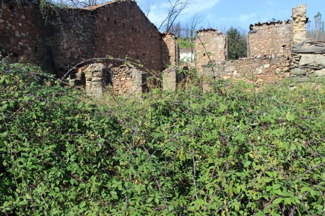 Moradia T0 para Venda em Arganil Foto 11