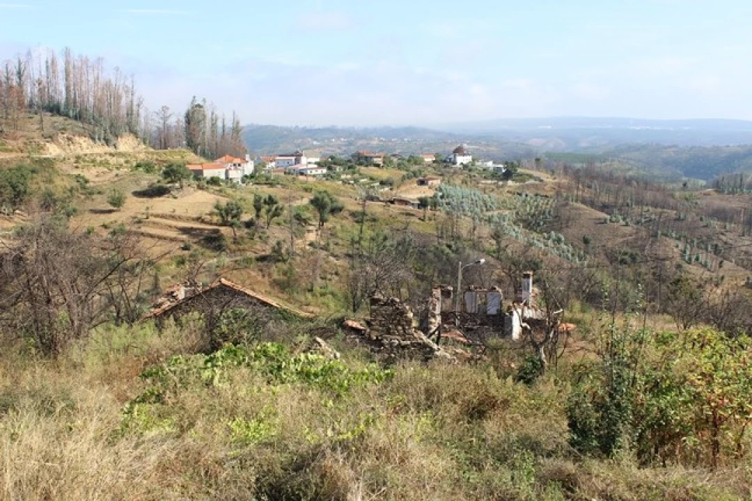 Moradia T0 para Venda em Arganil Foto 2