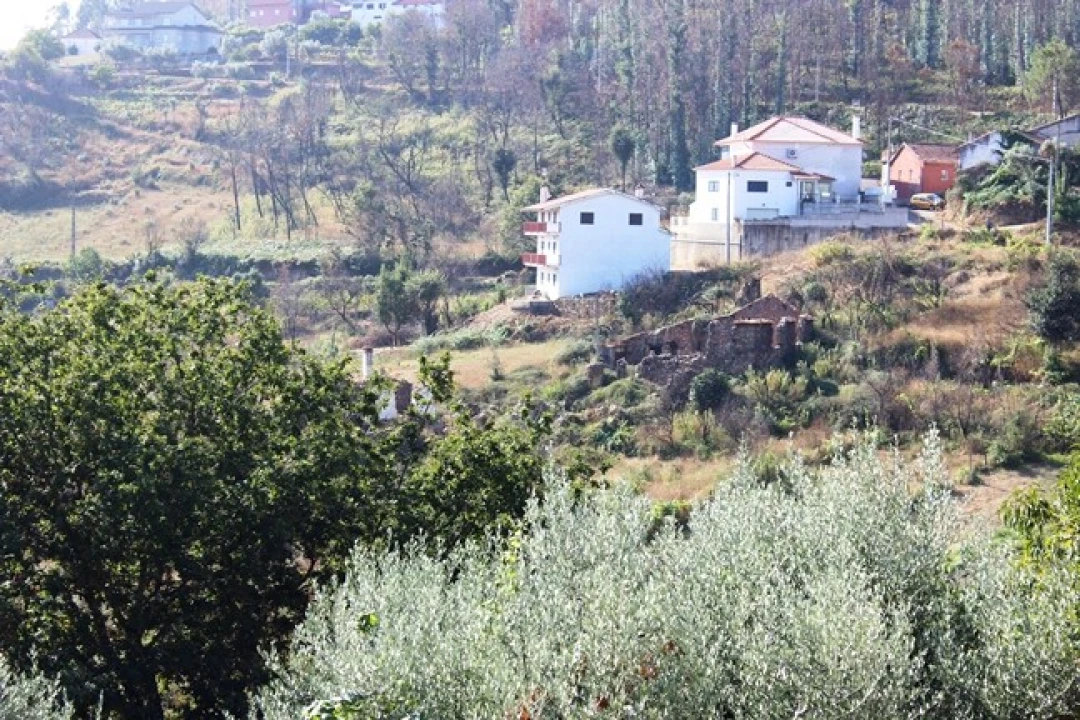 Moradia T0 para Venda em Arganil Foto 1