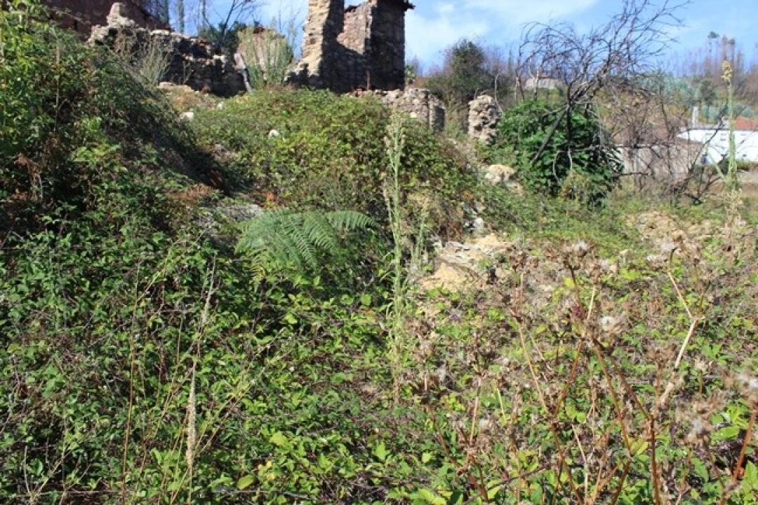 Moradia T0 para Venda em Arganil Foto 12