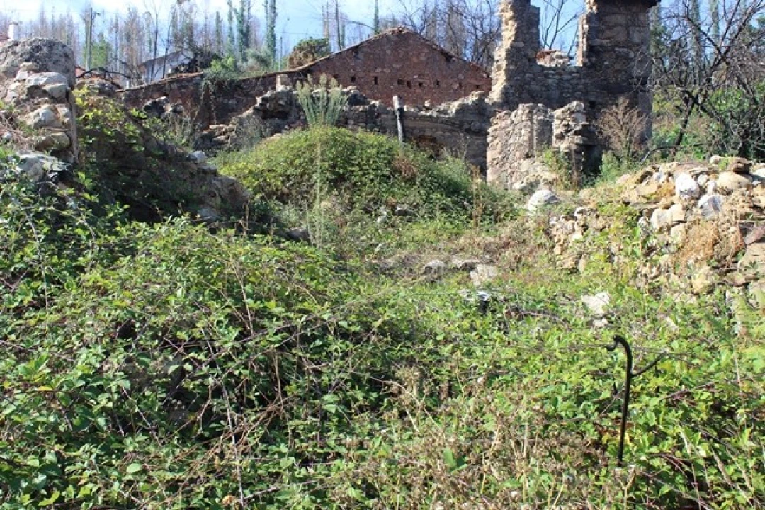 Moradia T0 para Venda em Arganil Foto 16