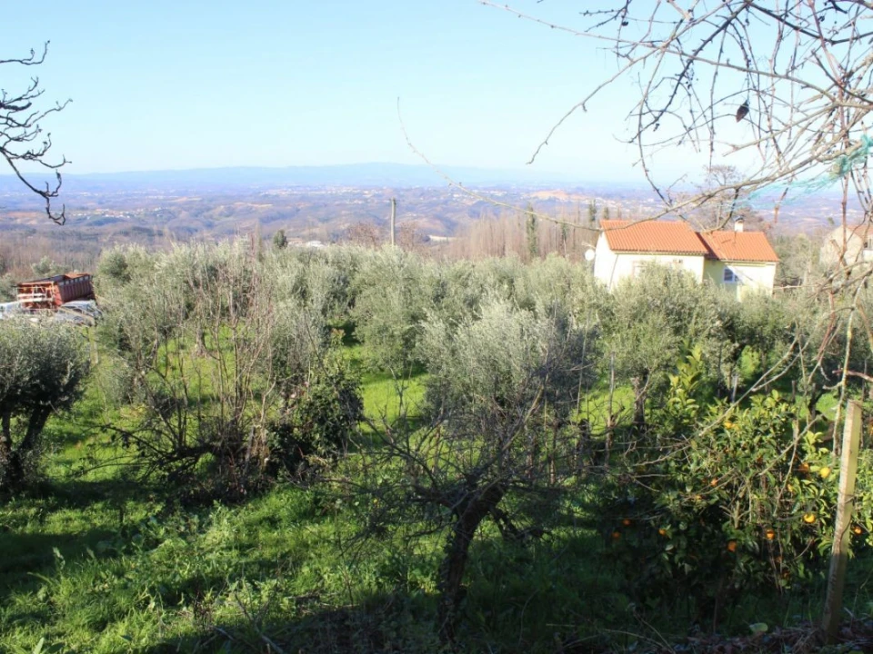 Terreno para Venda em Arganil Foto 17