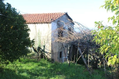 Terreno para Venda em Arganil