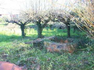 Terreno para Venda em Arganil