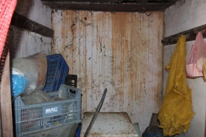 Terreno para Venda em Arganil