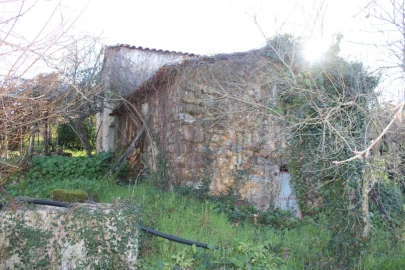 Terreno para Venda em Arganil