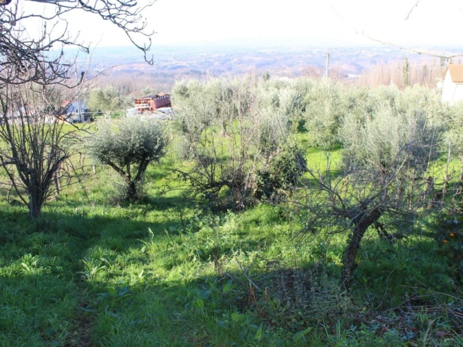 Terreno para Venda em Arganil Foto 4