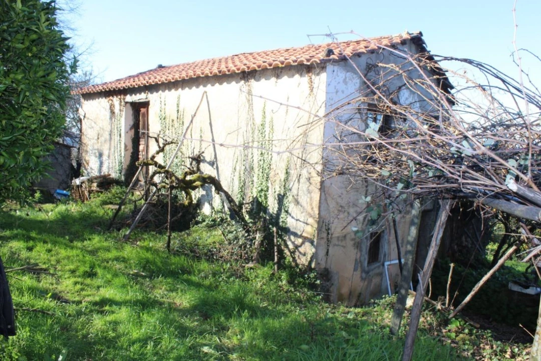 Terreno para Venda em Arganil Foto 16