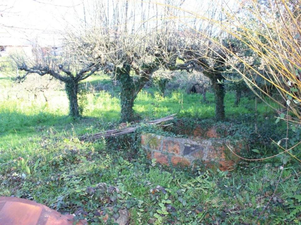 Terreno para Venda em Arganil Foto 18