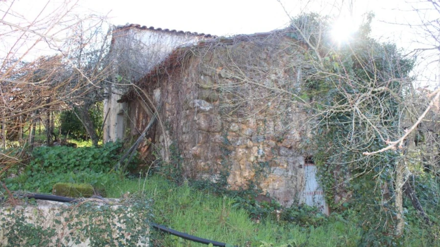 Terreno para Venda em Arganil
