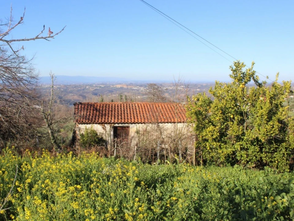 Terreno para Venda em Arganil Foto 3