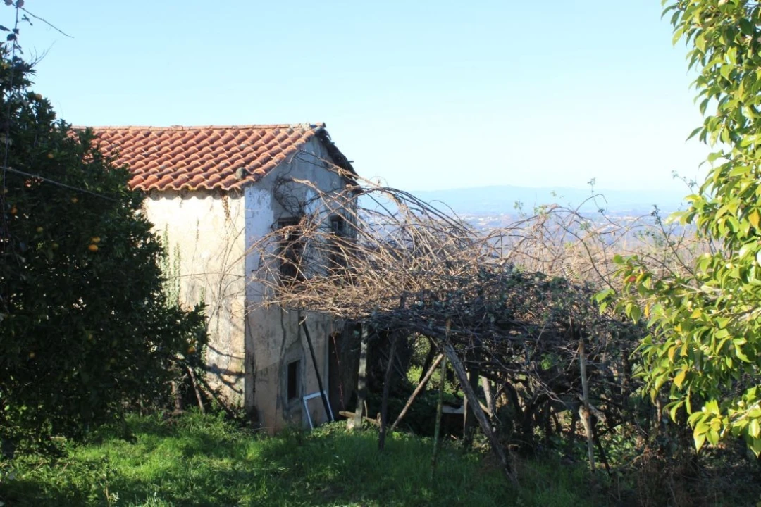 Terreno para Venda em Arganil Foto 2