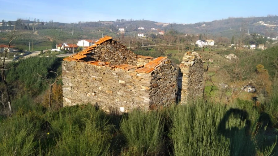 Quinta T0 para Venda em Côja e Barril de Alva Foto 7