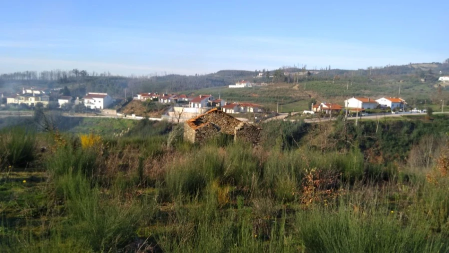 Quinta T0 para Venda em Côja e Barril de Alva Foto 12