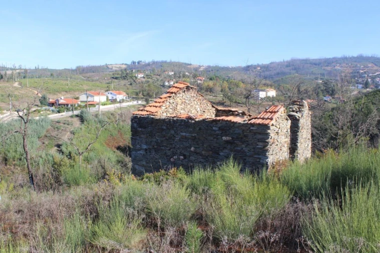 Quinta T0 para Venda em Côja e Barril de Alva