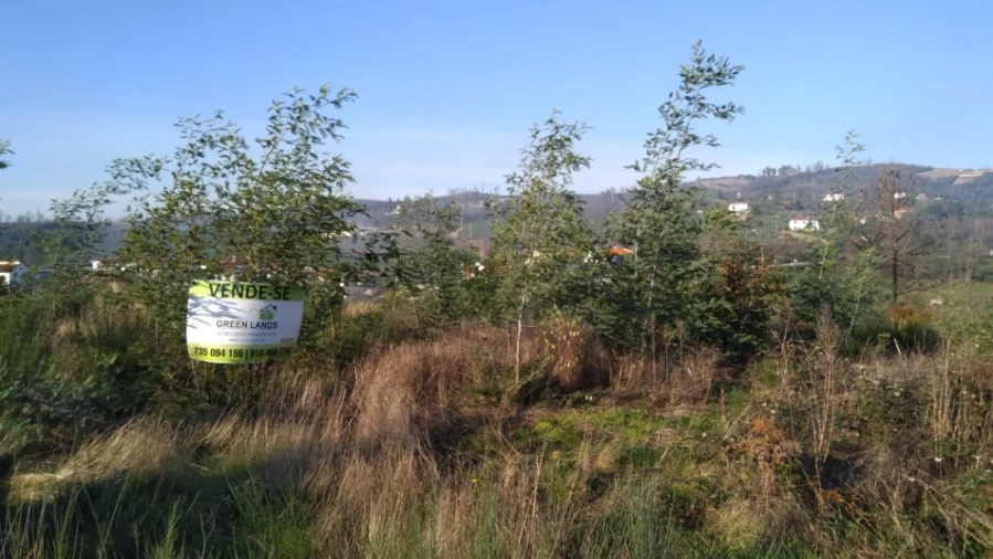 Quinta T0 para Venda em Côja e Barril de Alva Foto 5