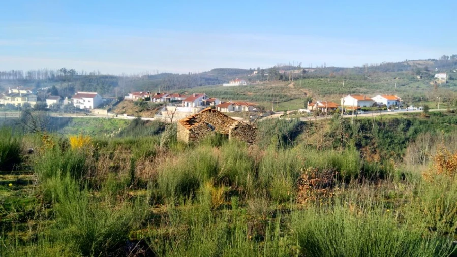 Quinta T0 para Venda em Côja e Barril de Alva Foto 13
