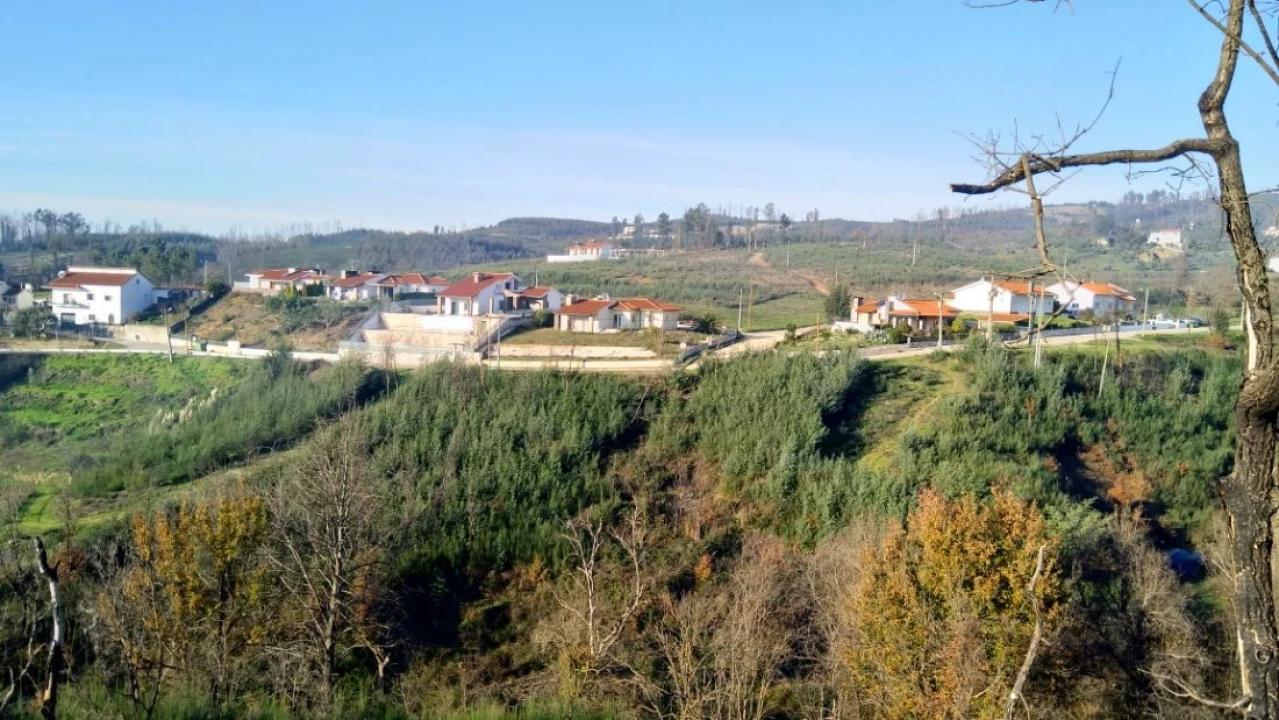 Quinta T0 para Venda em Côja e Barril de Alva Foto 9