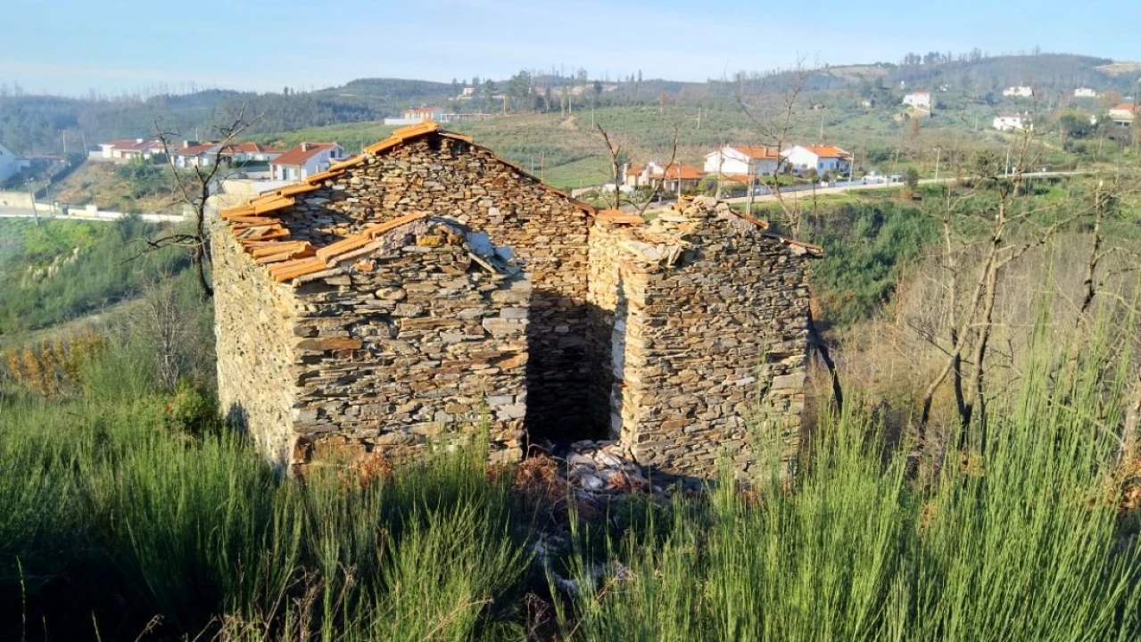 Quinta T0 para Venda em Côja e Barril de Alva Foto 10