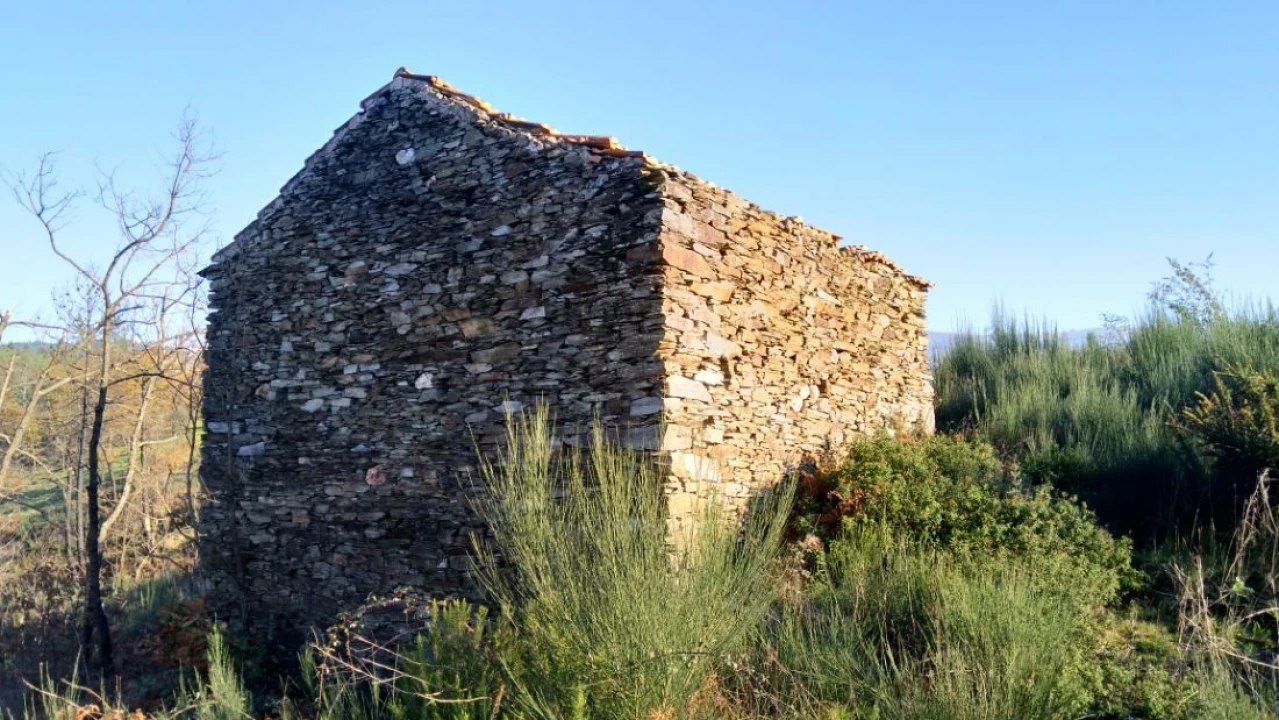 Quinta T0 para Venda em Côja e Barril de Alva Foto 8