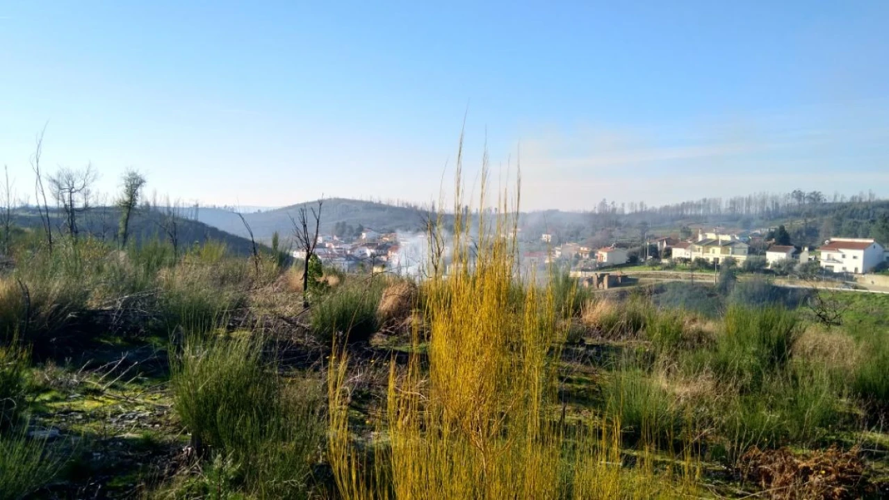 Quinta T0 para Venda em Côja e Barril de Alva Foto 6