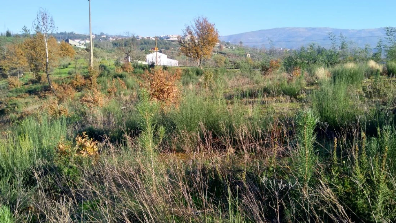Quinta T0 para Venda em Côja e Barril de Alva Foto 11