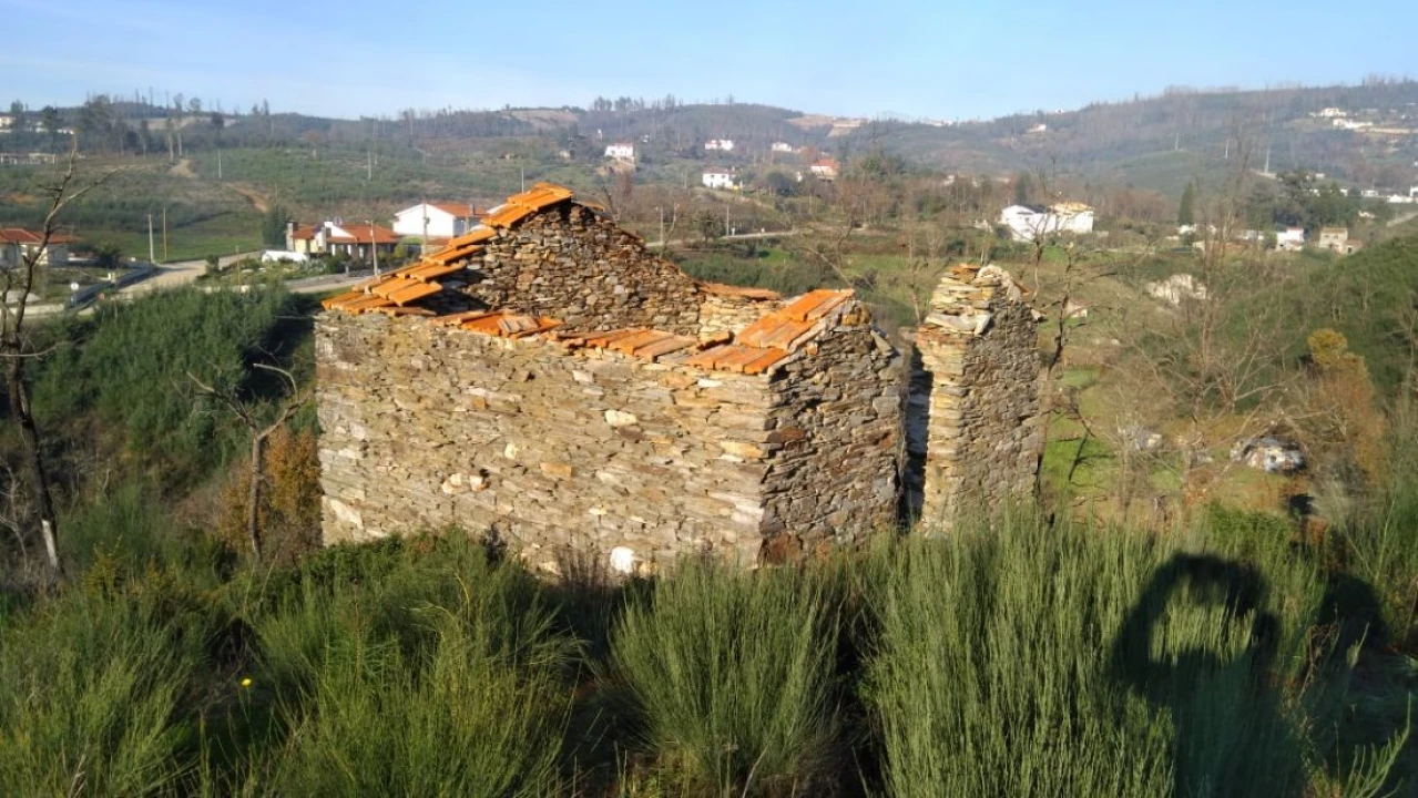 Quinta T0 para Venda em Côja e Barril de Alva Foto 7
