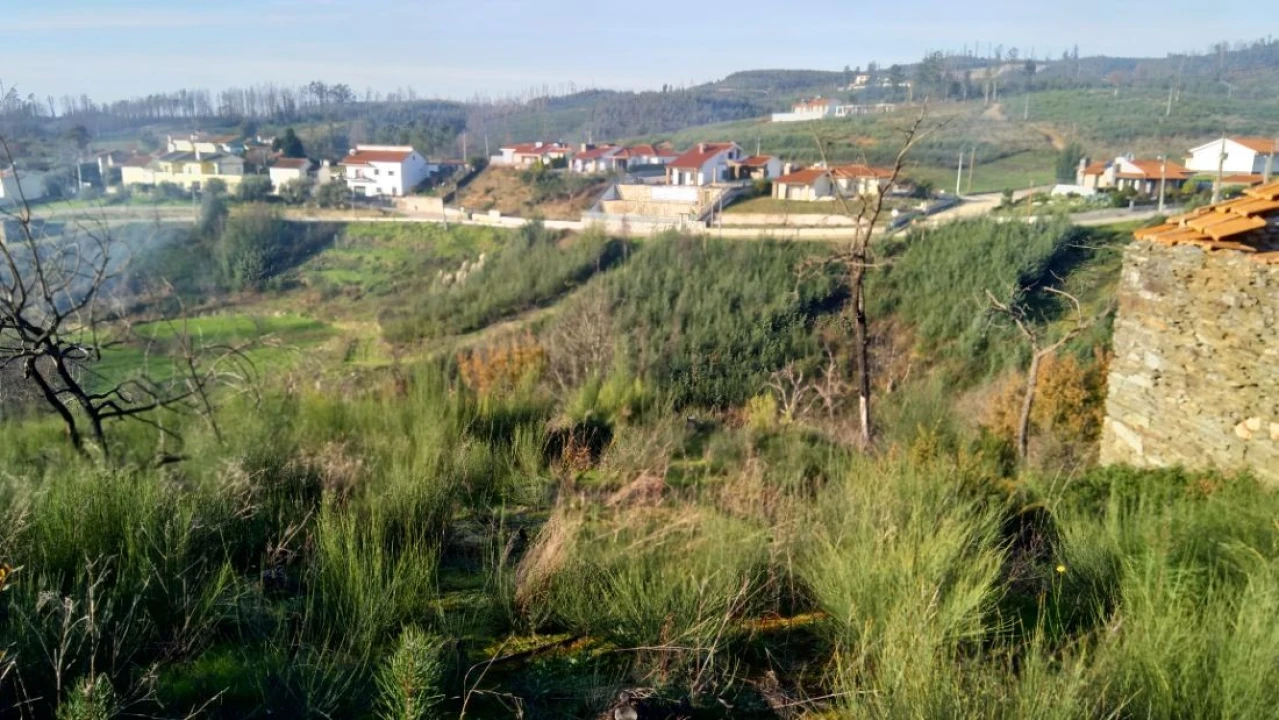 Quinta T0 para Venda em Côja e Barril de Alva Foto 4