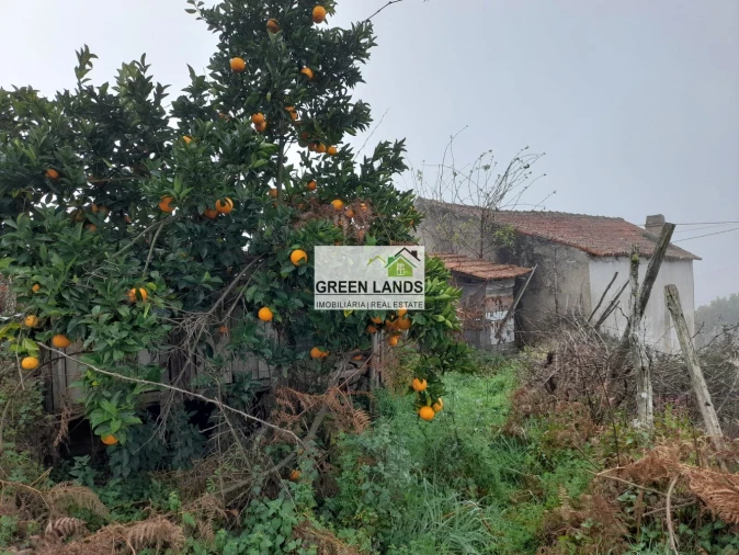 Moradia T2 para Venda em Lourosa Foto 9