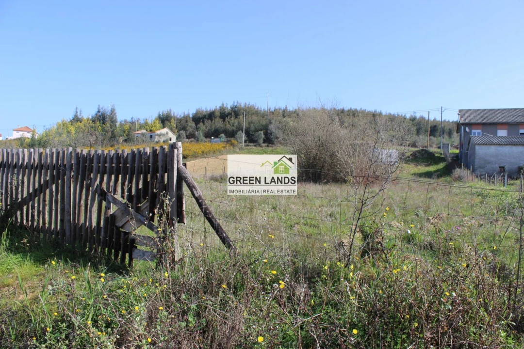 Terreno para Venda em Arganil Foto 3