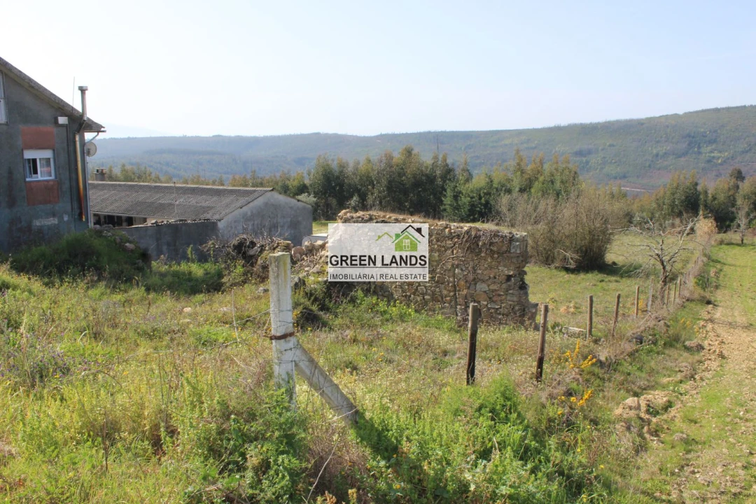 Terreno para Venda em Arganil Foto 5