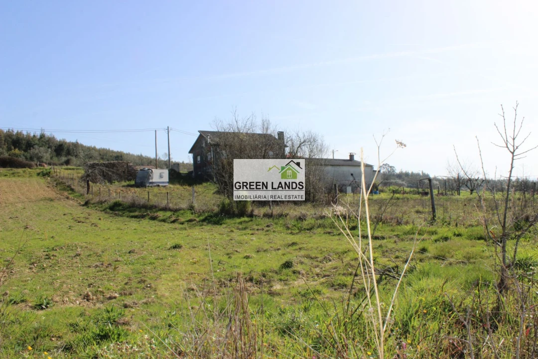 Terreno para Venda em Arganil Foto 2
